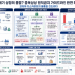 쪼개기 상장의 종말? 중복상장 원칙금지 가이드라인 완전 해부 — 코리아 디스카운트의 몸통을 건드리다