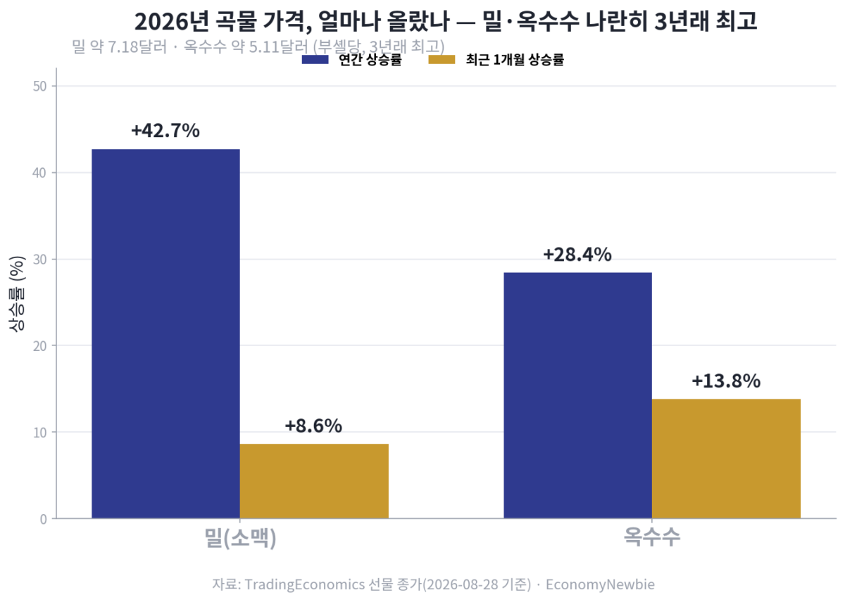 밀·옥수수 곡물 가격 급등, 증시 흔든 숨은 방아쇠 8월 31일 아침 코스피는 175포인트, 2.58% 급락한 6,613으로 문을 열었고 장 초반 낙폭은 3%대까지 벌어졌다. 대부분의 시황 기사는 그 원인을 케빈 워시 연준 의장의 매파 발언과 3.7%로 재가속한 미국 PCE 물가에서 찾는다. 틀린 말은 아니다. 그러나 그 물가를 끈적하게 만드는 연료가 어디서 타고 있는지는 거의 아무도 말하지 않는다. 바로 곡물 가격 급등이다. 같은 8월 28일, 시카고상품거래소에서 밀과 옥수수는 나란히 3년래 최고가로 뛰어올랐다. 이 글은 흔한 '식량위기 공포' 기사와는 다른 각도로 이 사건을 뜯어본다. 이번 급등은 하나의 현상이 아니라 서로 다른 두 개의 방아쇠가 우연히 겹친 것이며, '3년래 최고'라는 헤드라인 뒤에는 함정이 숨어 있고, 그 최종 청구서는 밀 자급률 1.5%의 한국 식탁으로 배달된다는 것이 이 글의 요지다.